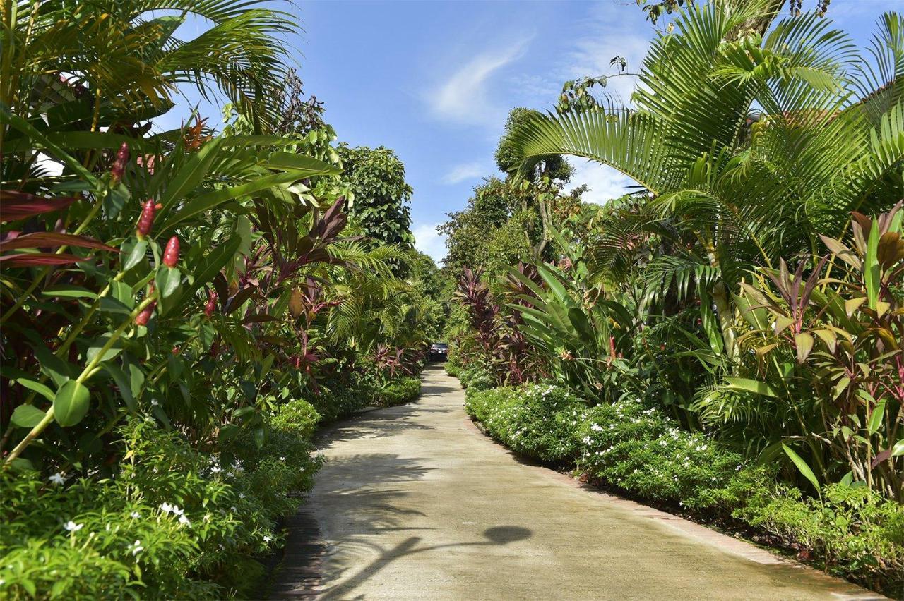 Rainforest Resort Duong Dong Exterior foto
